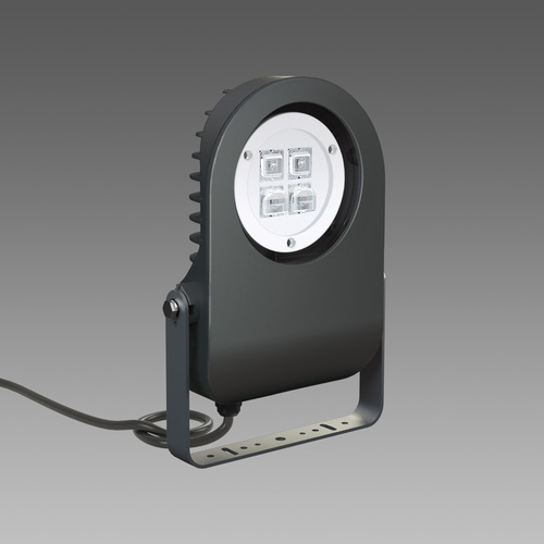 1711 Cripto small - asymmetric